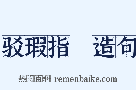 驳瑕指颣造句是什么意思的图片